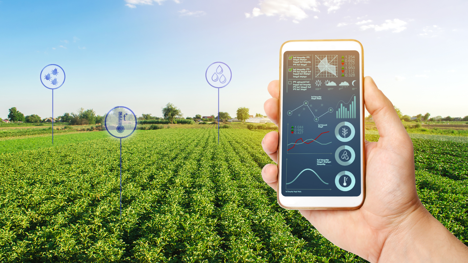 Customer case 2- agriculture 1